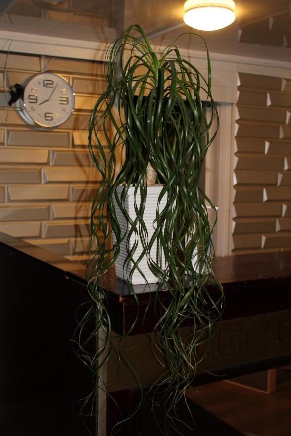 The Grand Karhu Hotel Котка Екстериор снимка